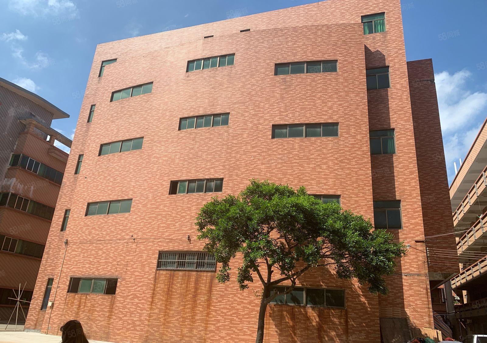 中堂花园式独栋厂房出租1800方，现成环评，带货梯，靠主干道