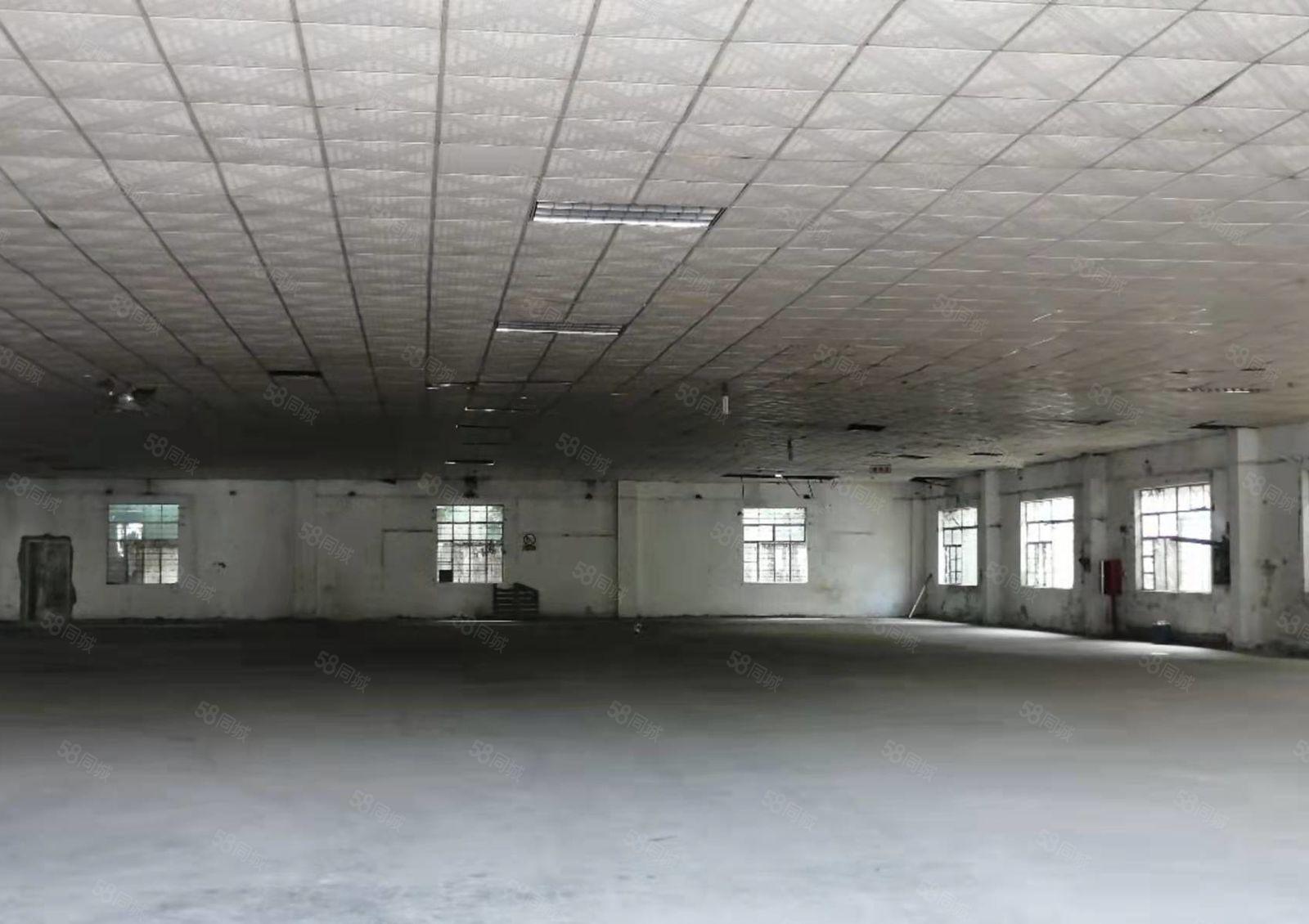 好消息主干道独门独院3500