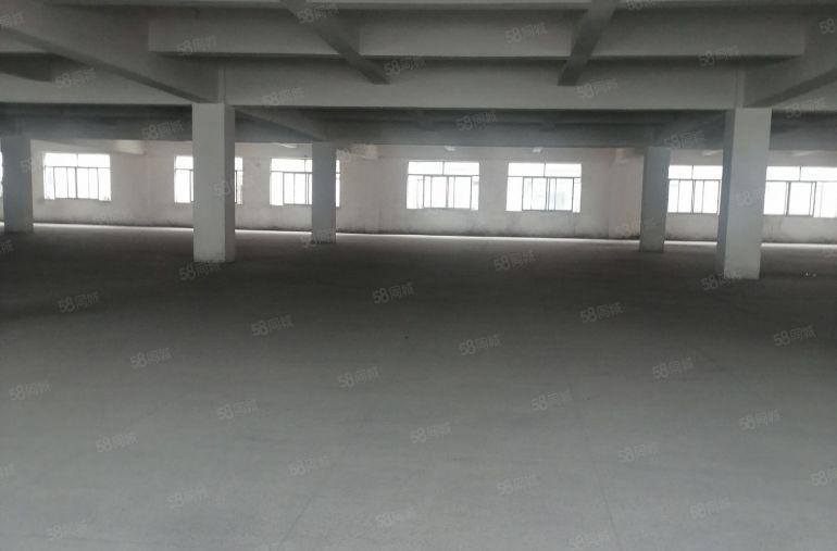 中堂镇3000平方（大小可分租）独门独院双证标准厂房低价出租