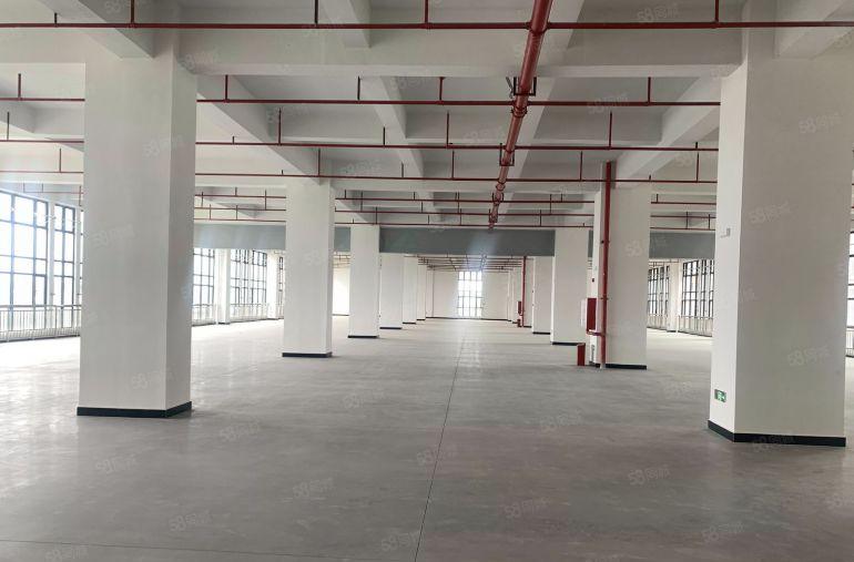 降价！甩！甩！一手房东出租独栋厂房20000，10快