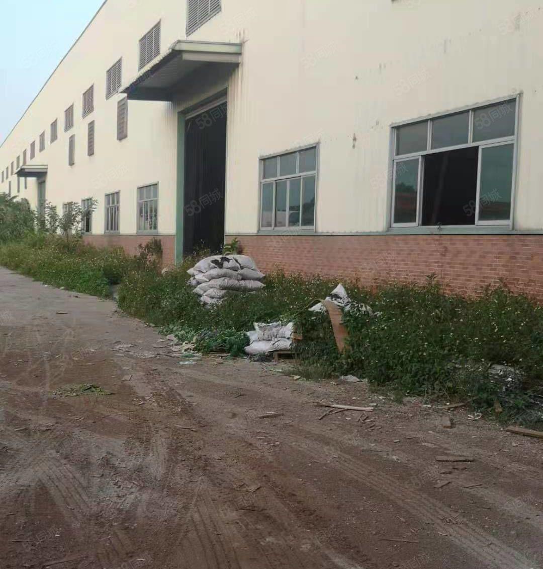 中堂镇原房东单一层8000平钢构铁皮独院厂房北王路边可办环评