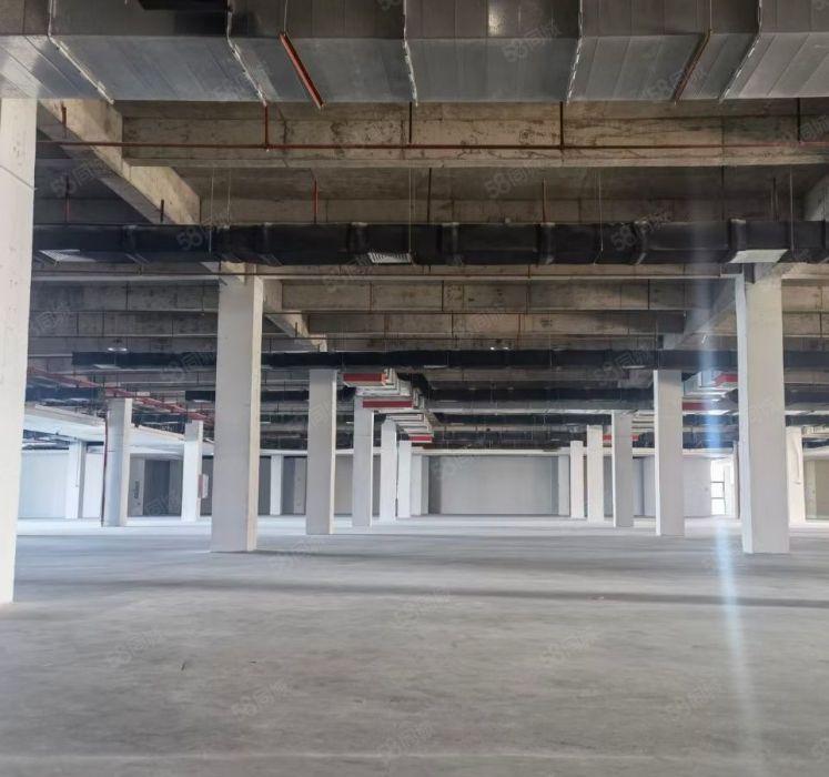 中堂镇新出独门独院三层标准厂房出租22500平方米（单层面积