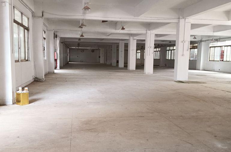 中堂镇低价9.9块，600平标准带现成精装修办公厂房出租