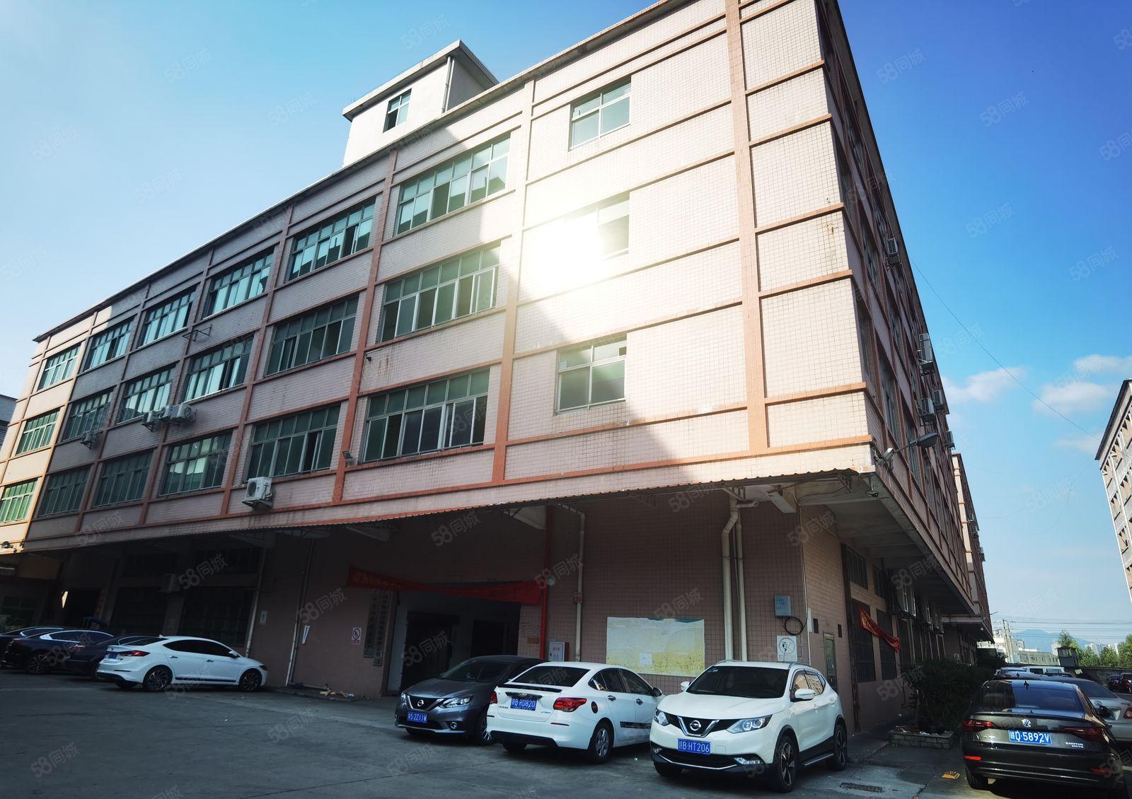 中堂镇独院标准厂房出租二楼2000平方带装修价格优惠车位充足