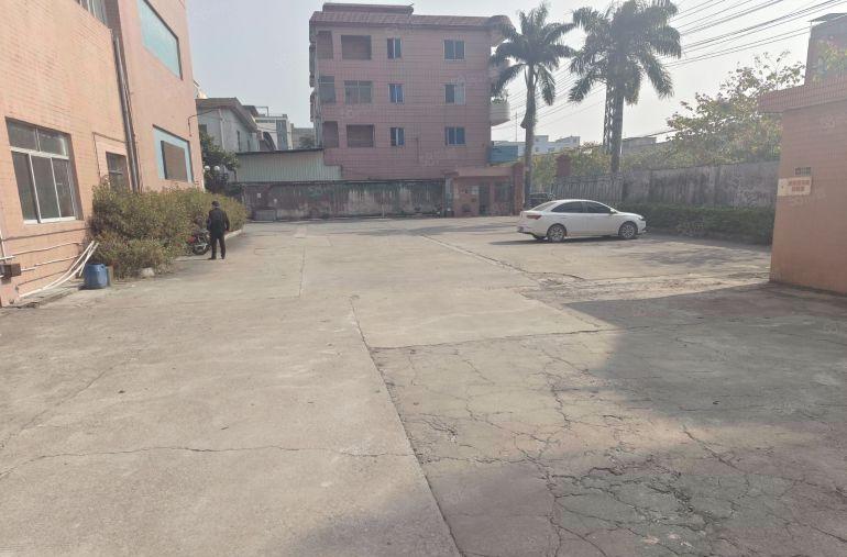 中堂镇 标准一楼仓库厂房出租，高6米，交通方便