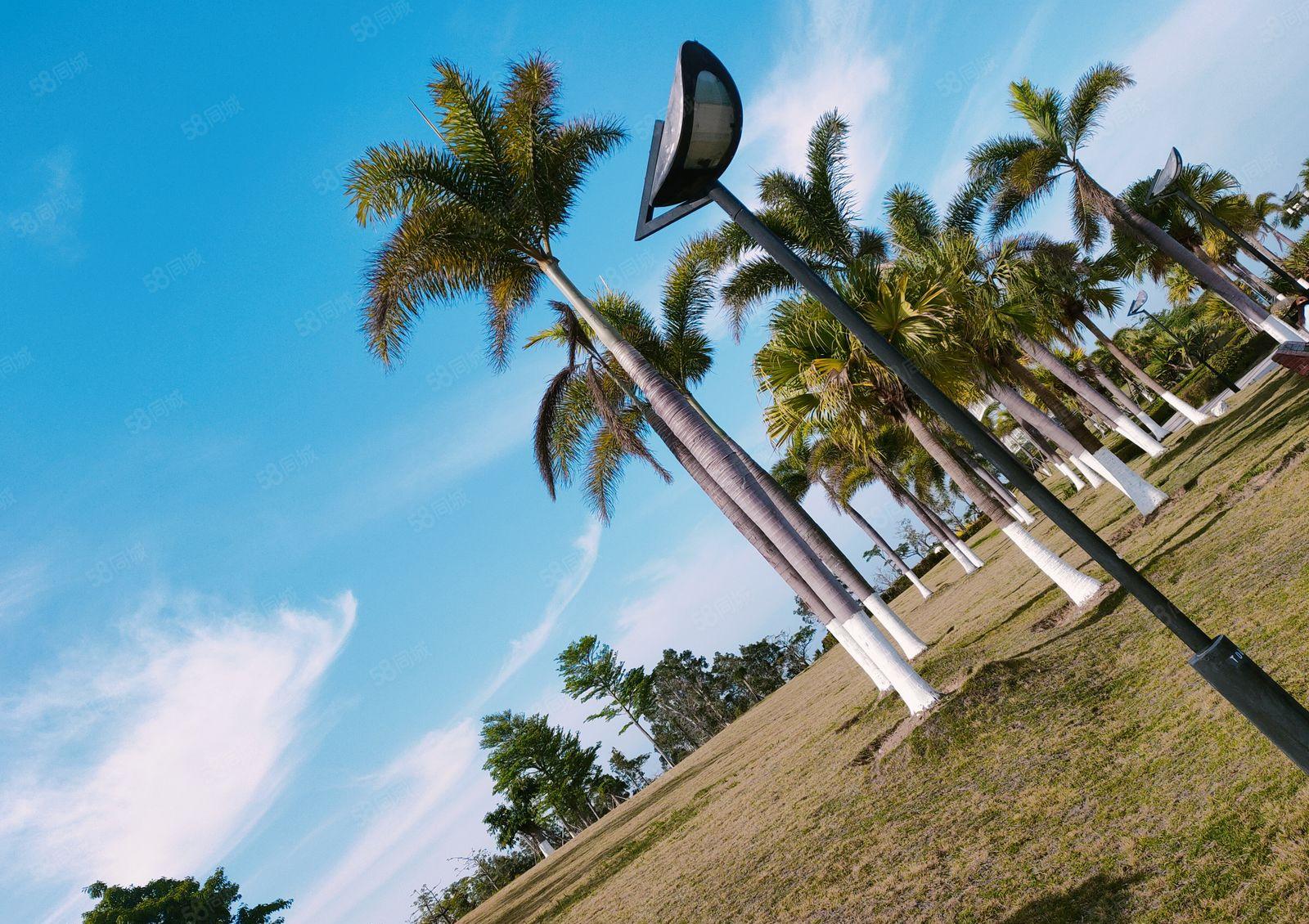 中堂镇独院单一层1250方厂房，宿舍200方出租(可办环评)