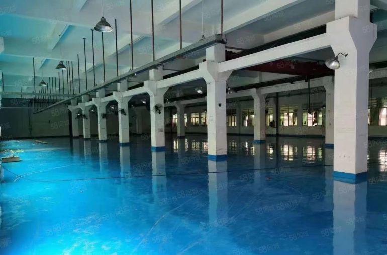 厂房出租中堂镇园区标准一楼1000平带办公室现成航车可分租