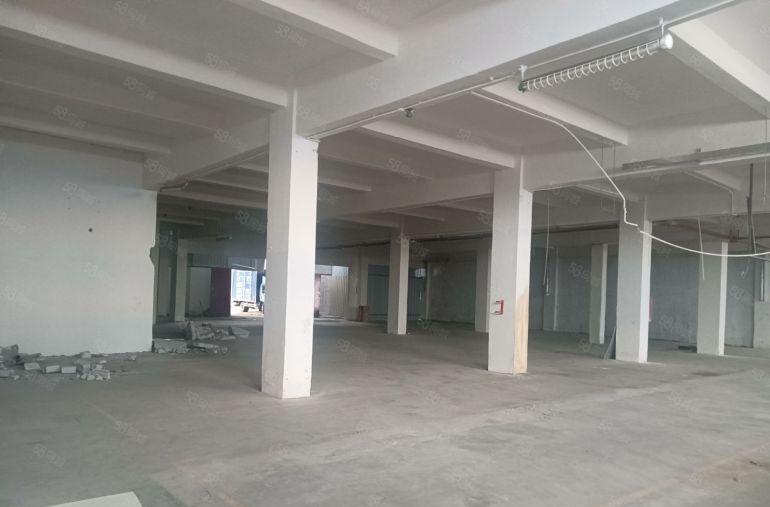 中堂  原房东一楼1000平方，厂房出租  低价10元