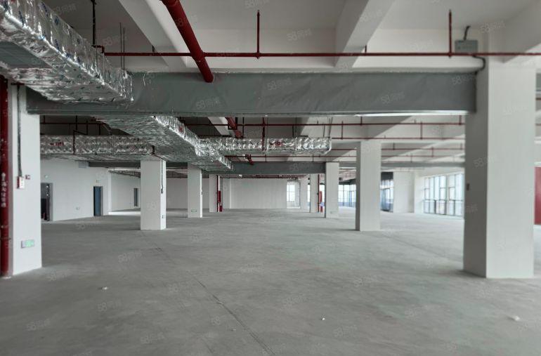 中堂潢涌全新首层8米厂房出租，证件齐全红本厂房