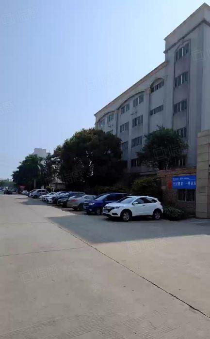 中堂镇独院标准厂房11000方低价出租，可办环评 周边无居民