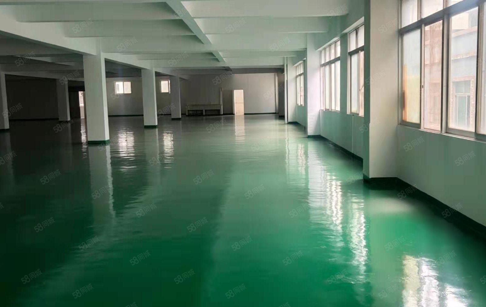 （形象厂房）中堂镇北王路全新厂房