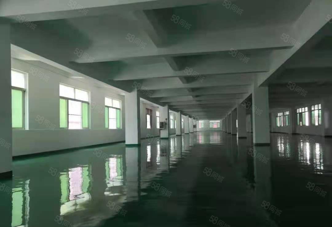 （形象厂房）中堂镇北王路全新厂房