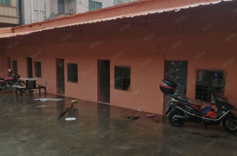 中堂独门独院（可分租）单一层3000平方招租