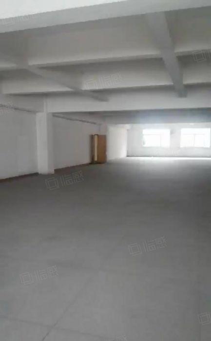 中堂镇3000平方（大小可分租）独门独院双证标准厂房低价出租