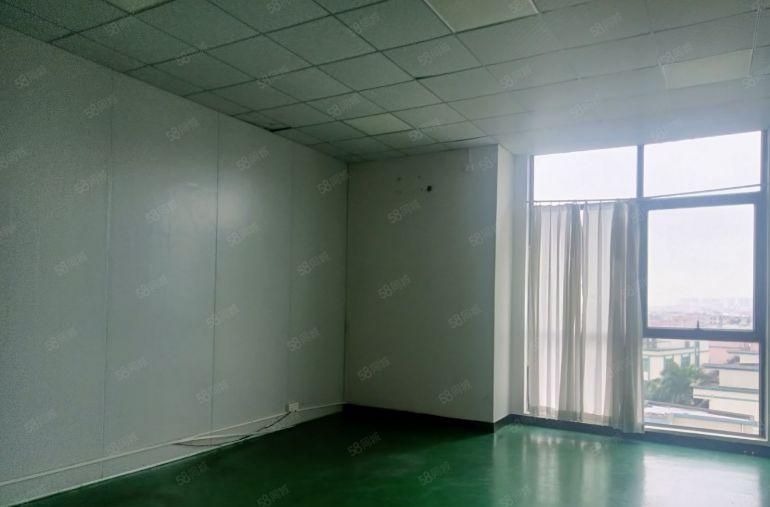 中堂镇 全新标准厂房 仓库2000平方，原房东低价出租