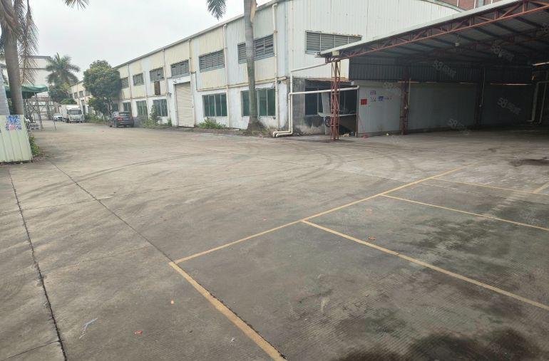 中堂镇 原房东 1200平方，单一层厂房出租，高9.5米