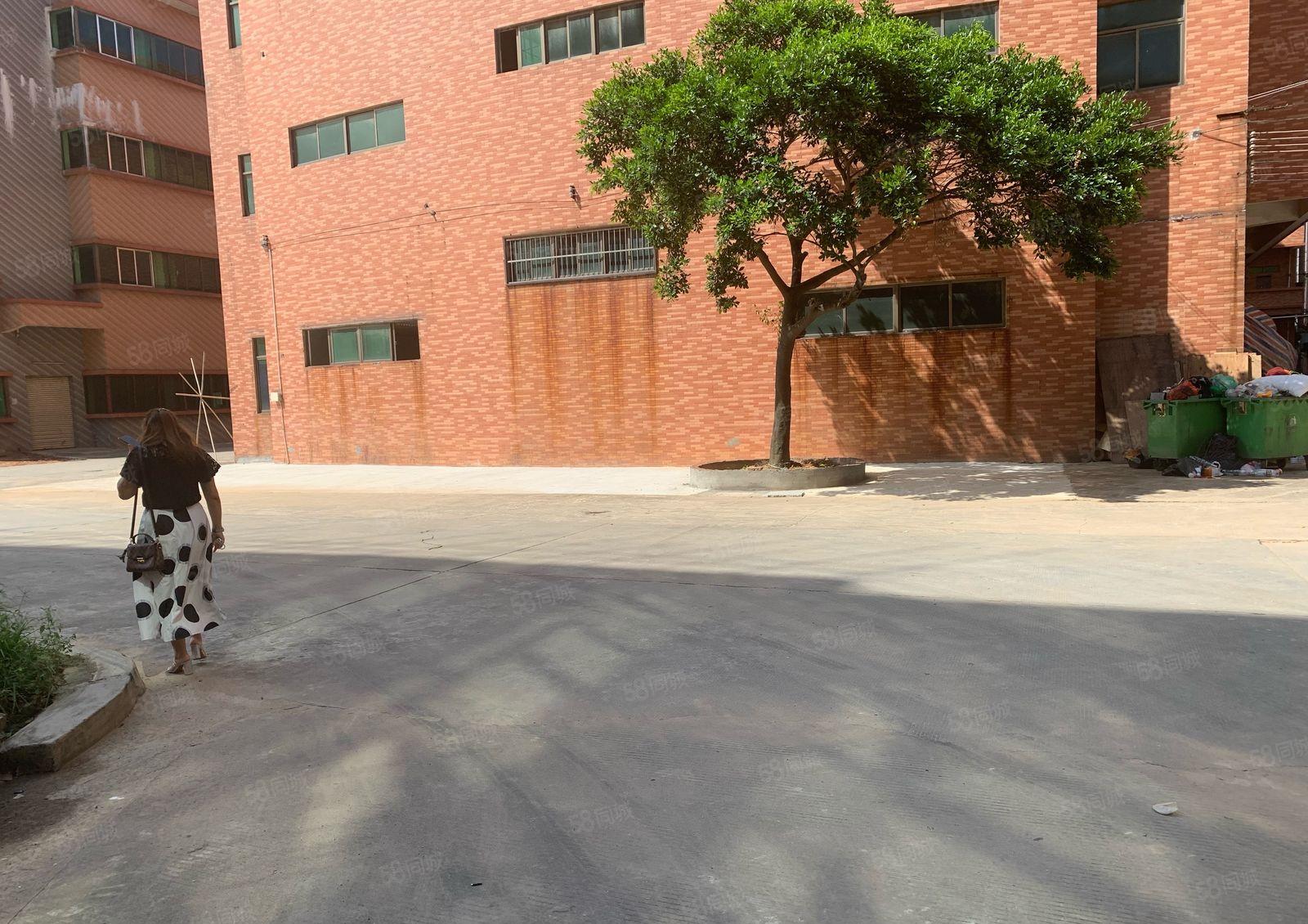 中堂花园式独栋厂房出租1800方，现成环评，带货梯，靠主干道