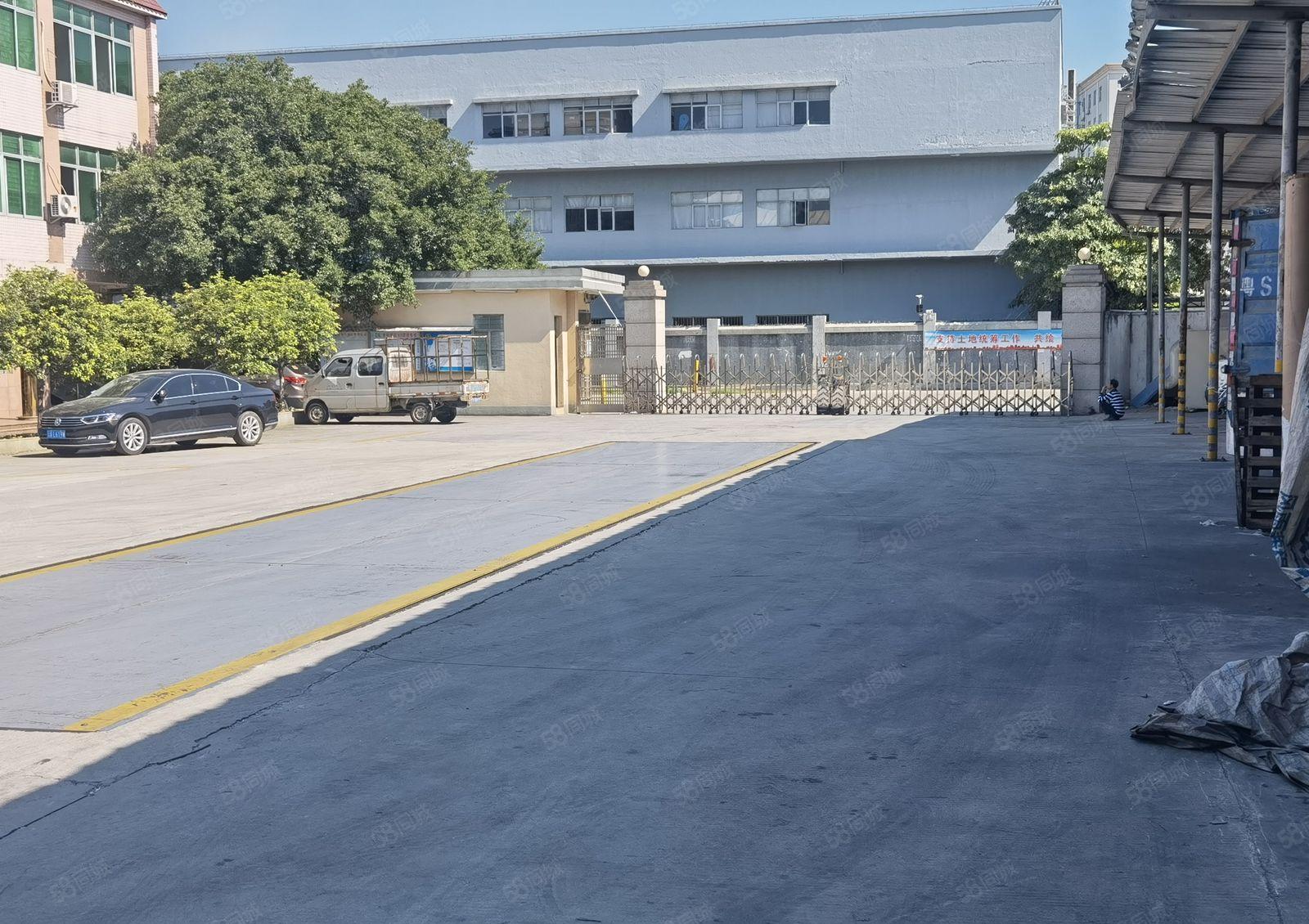 中堂镇广园快速北王路旁新出独院单一层高台仓滴水14米证件齐全