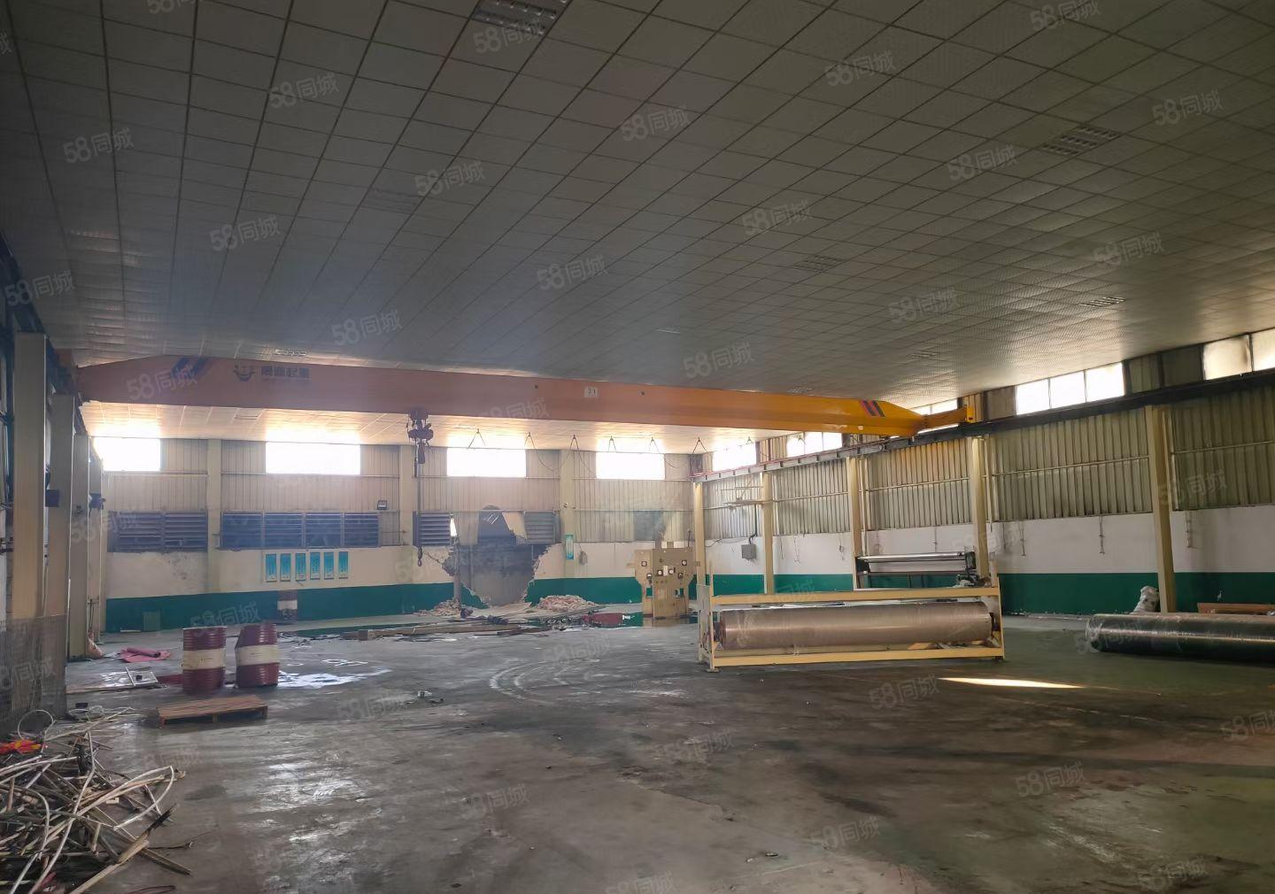 中堂镇单层9米高独院厂房低价出租（电大）