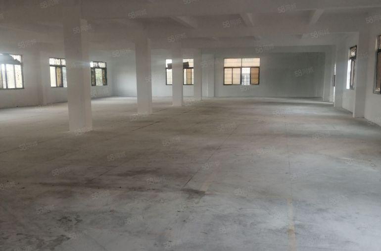 中堂5000平方（可分租）独门独院标准厂房出租