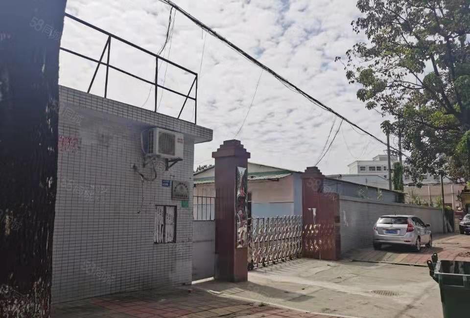 好消息主干道独门独院3500