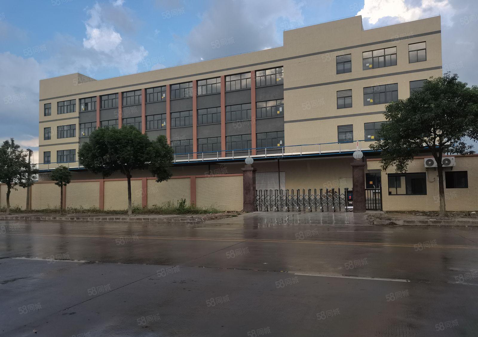 独门独院花园厂房出租