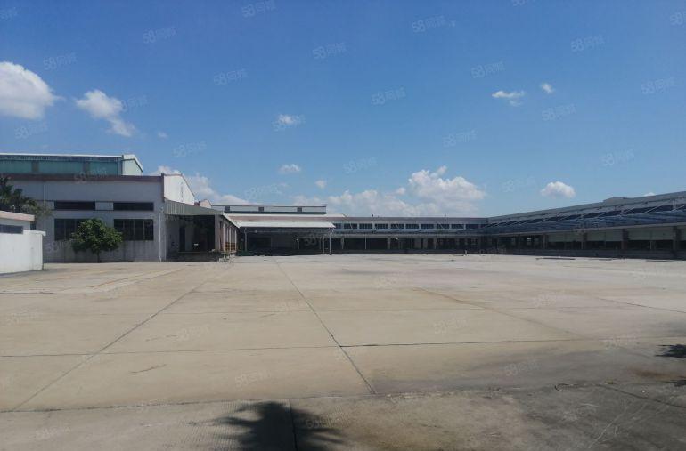 中堂超大空地40000多平方独门独院单一层高台仓低价出租