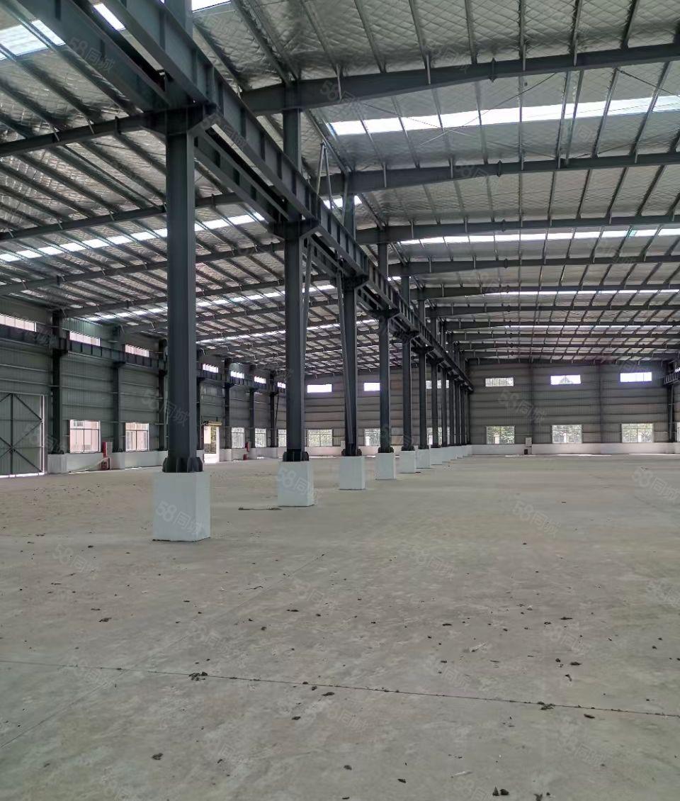 新出独院 13000平米10米钢构带卸货平台 空地8000