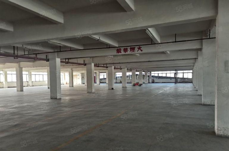 中堂原房东标准厂房出租，低至12元每平米