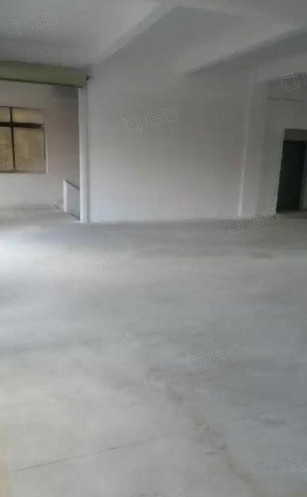 中堂5000平方（可分租）独门独院标准厂房出租