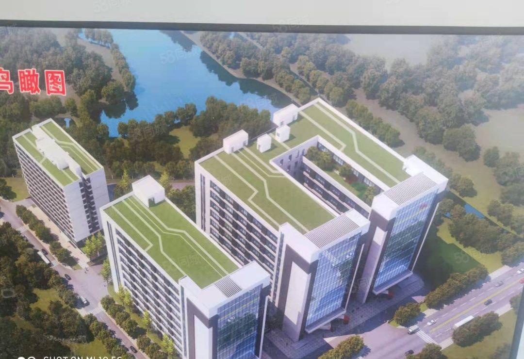 中堂原房东独院标准厂房出租可分租红本厂房