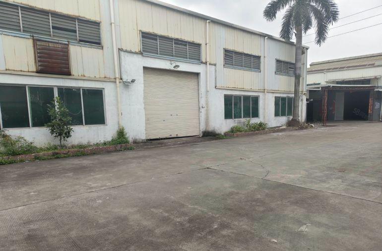 中堂镇 原房东 1200平方，单一层厂房出租，高9.5米