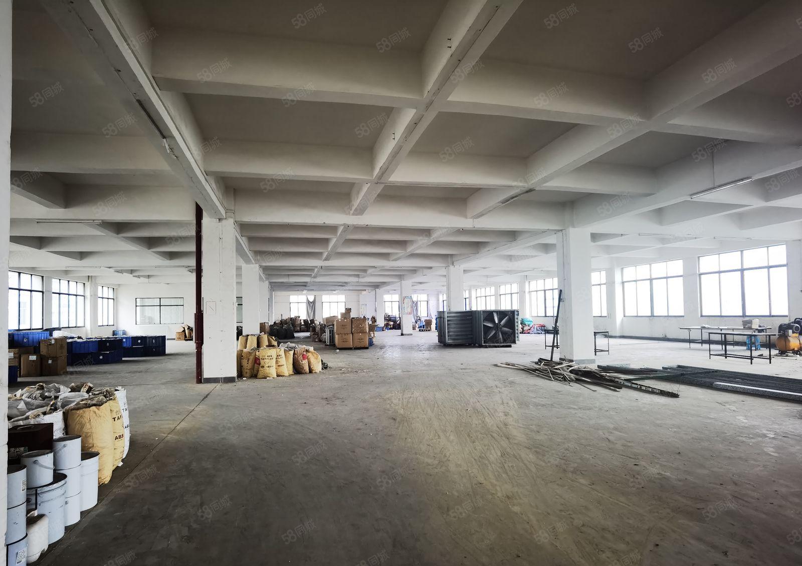 中堂镇独院标准厂房出租6000平方可分租带装修证件齐价格优惠