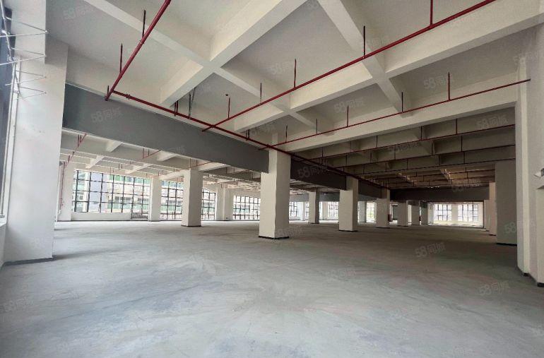 中堂 靠近广州现成食品环评园区厂房1000平起空地大配套齐全