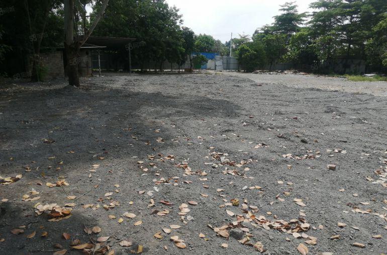 中堂（原房东独门独院空地）单一层200平方厂房低价出租