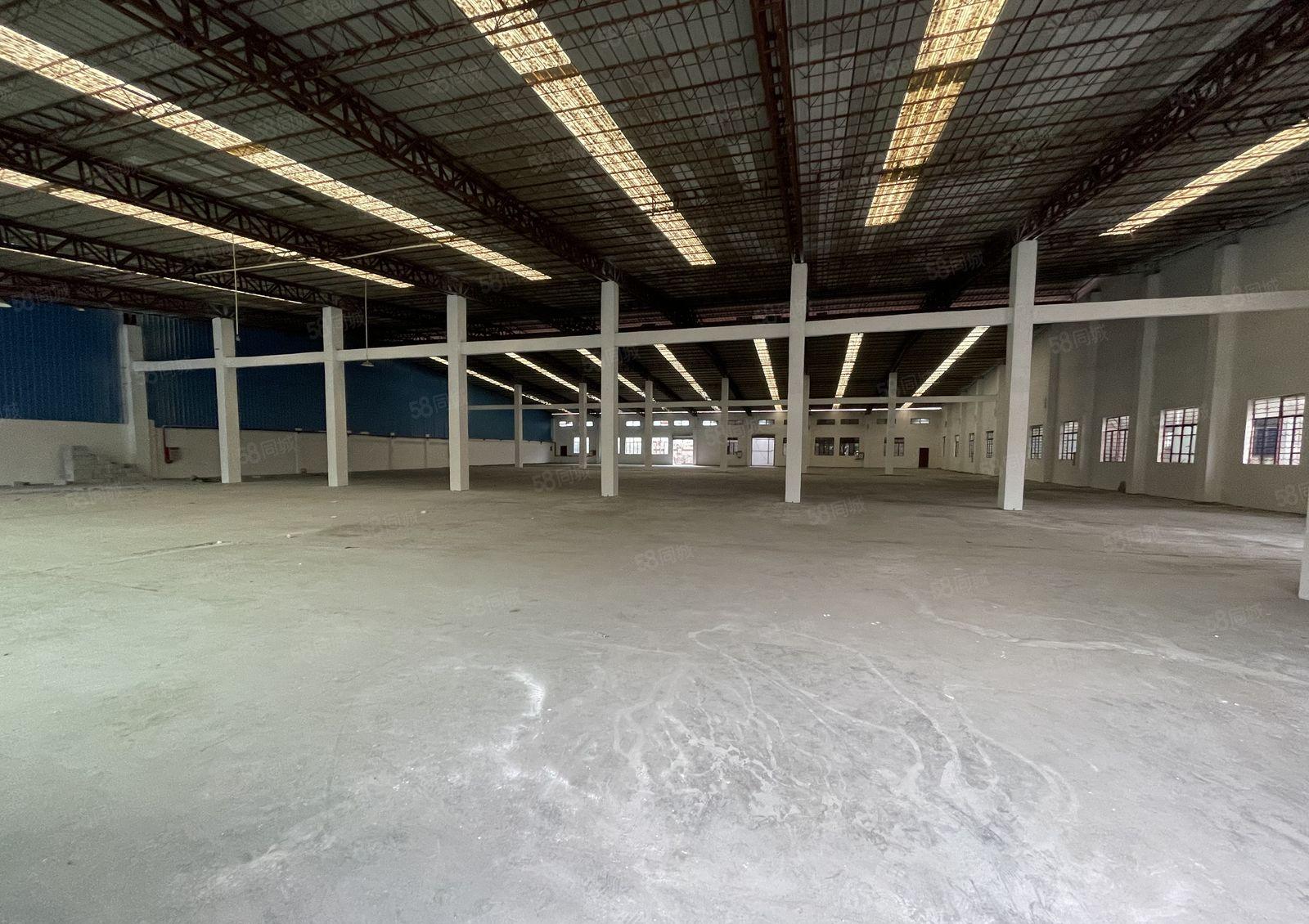 新盘！中堂东向工业区独院单一层厂房出租！