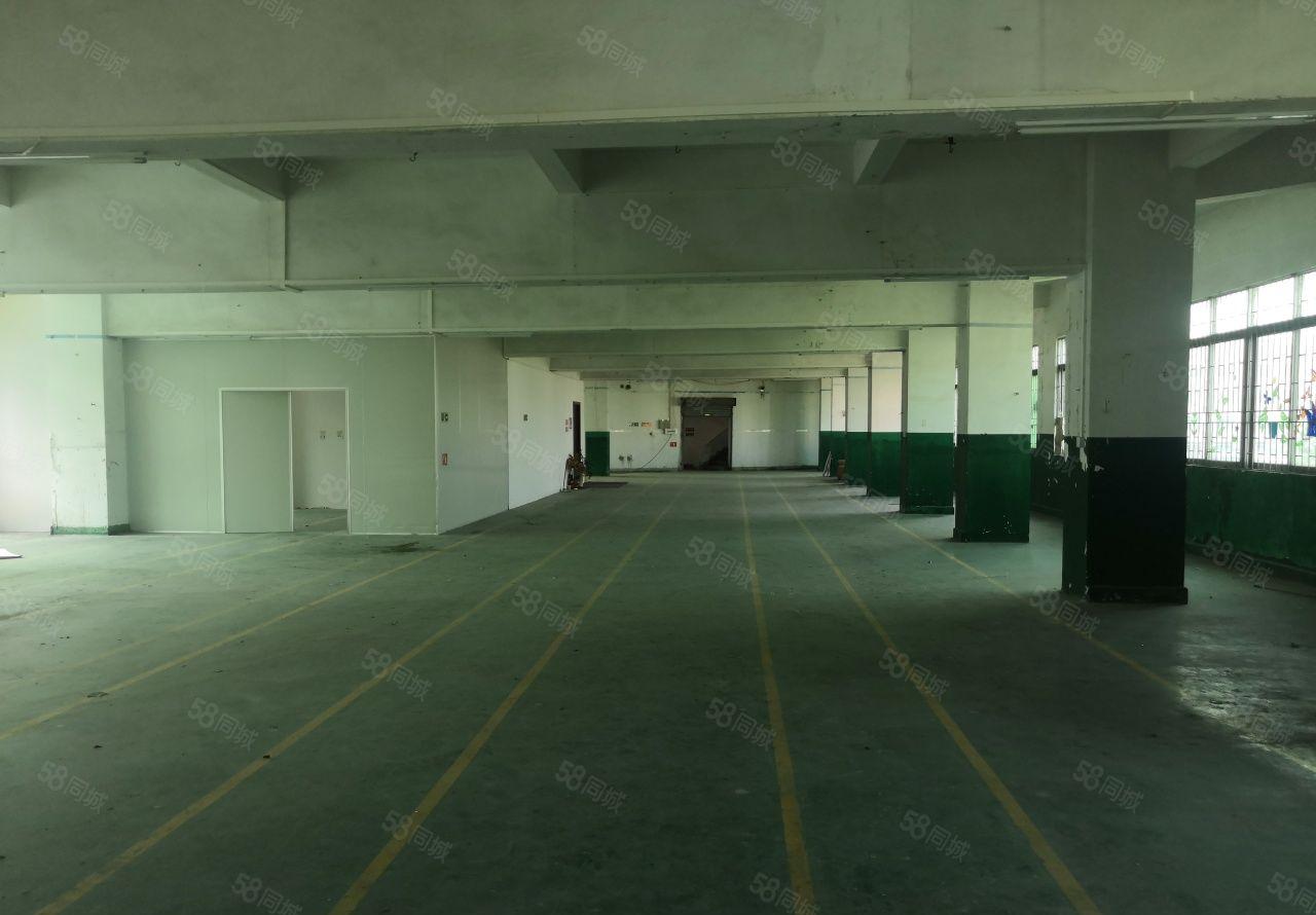 高埗新出园区2楼厂房形象好空地大工业聚集地价格便宜房东好说话
