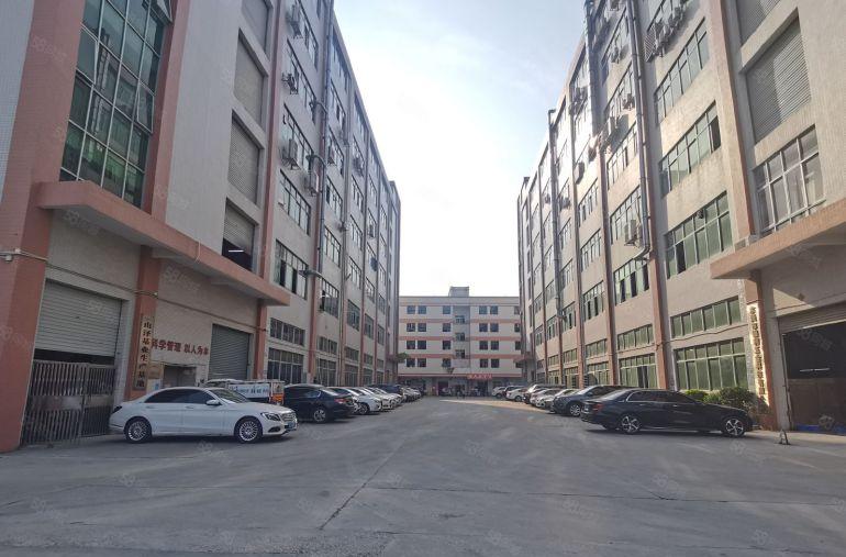 一手资源无公摊甩租高埗万江中堂3千平一楼仓库厂房出租大小可分