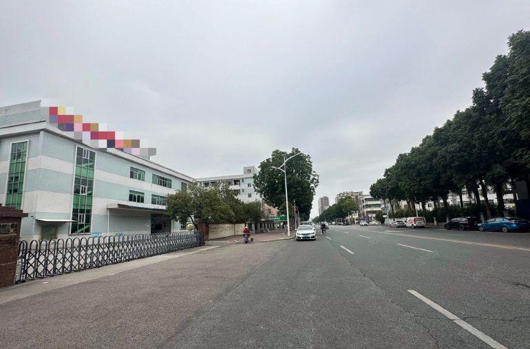 高埗镇花园式标准独院厂房，主干道旁，带卸货平台，超大空地