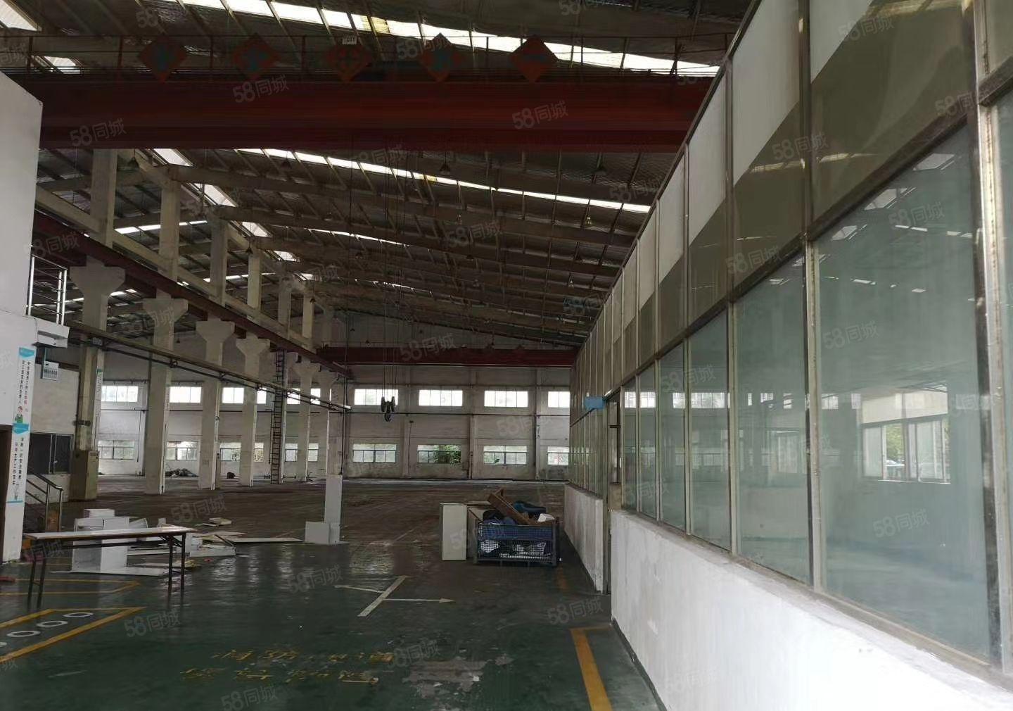 1000平方起租！高埗独院钢构厂房出租3万平方空地大可架航车