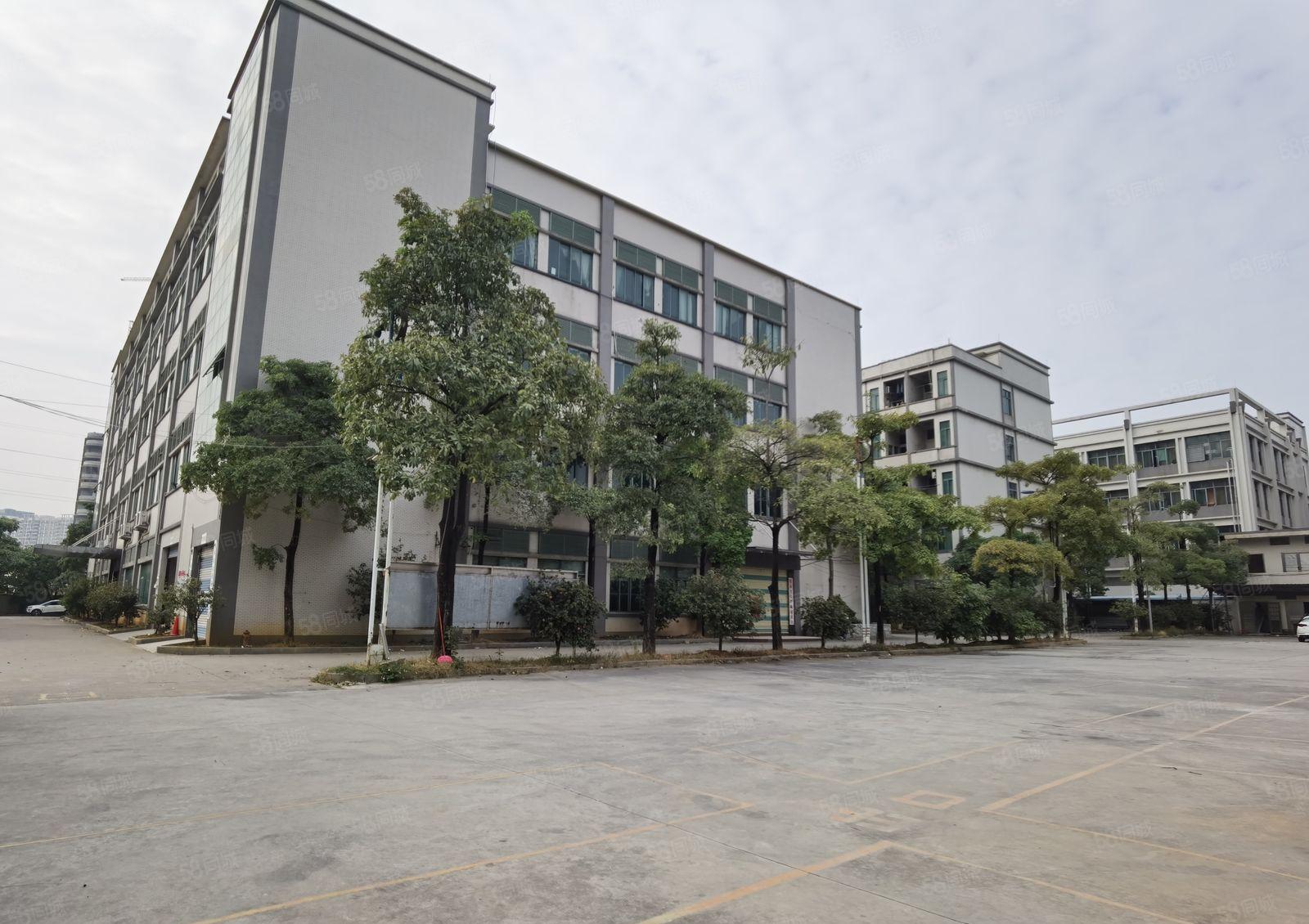 高埗镇独院标准厂房出租10500平方可分租可办环评空地超大