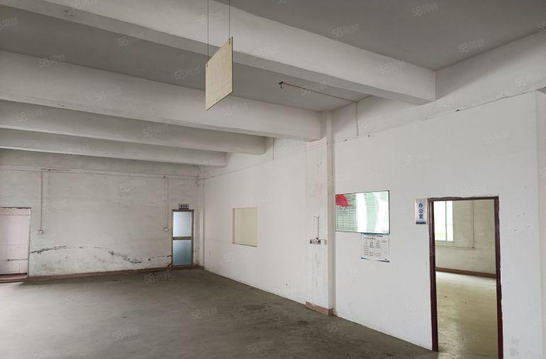 8元厂房招租！高埗新出环城路外标准厂房出租850平，四楼