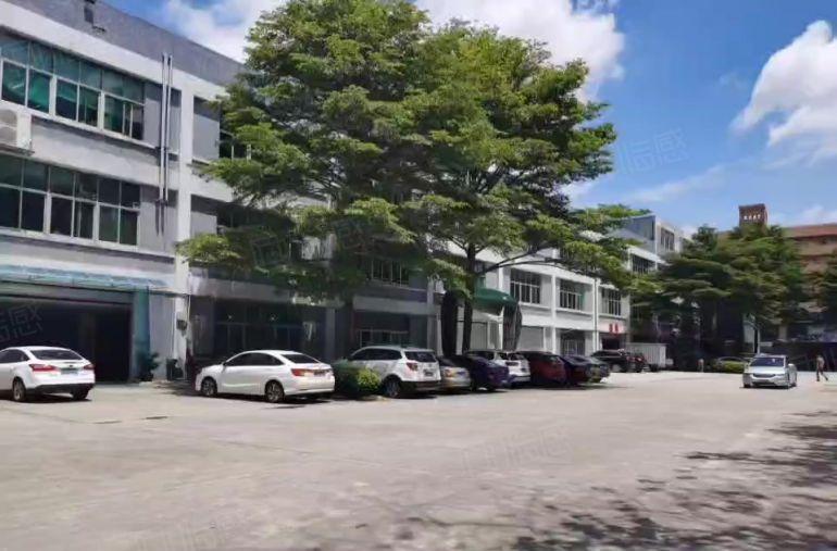 高埗大桥边标准一楼700平！交通便利，适合各种加工行业