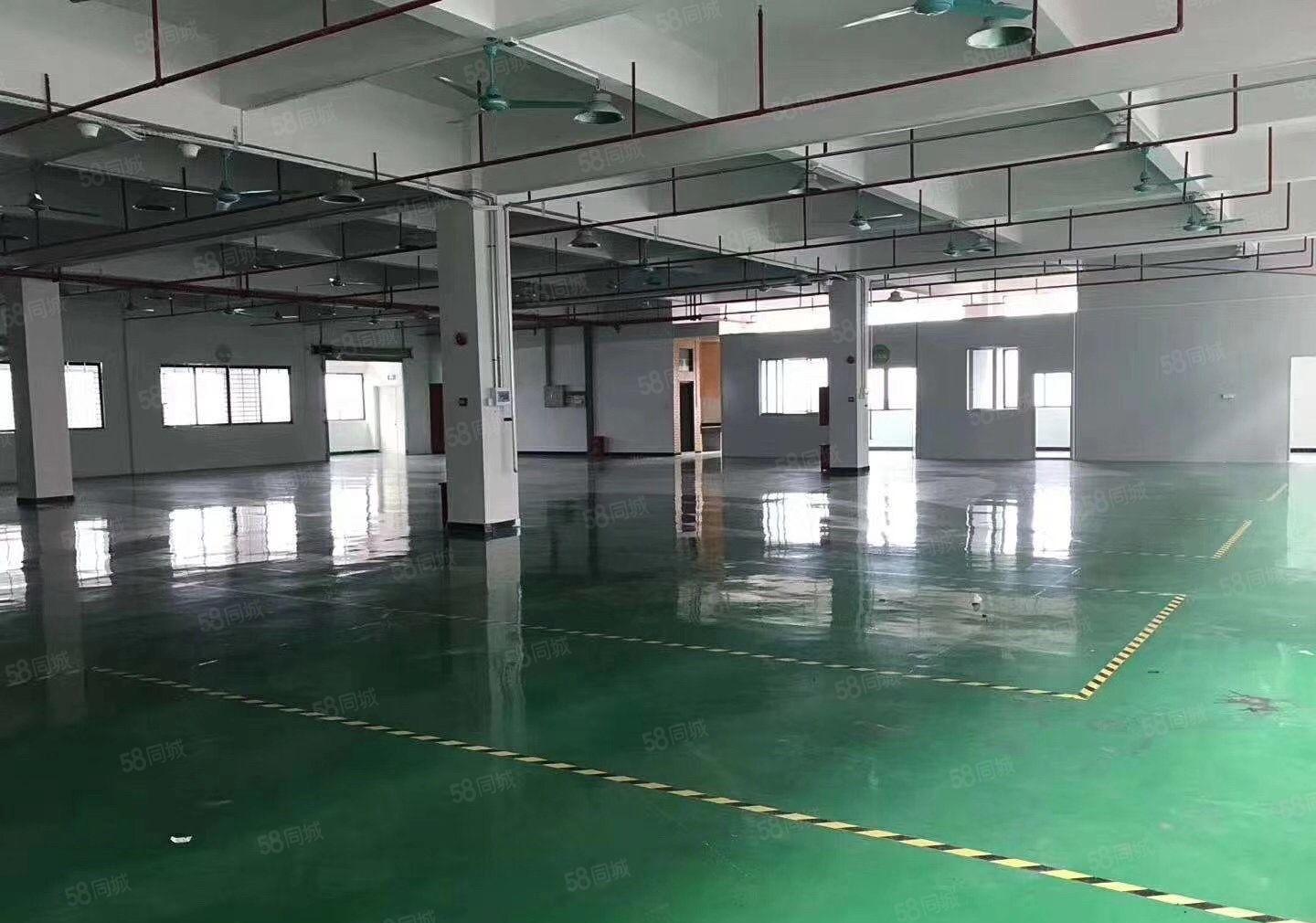 租金仅13平高埗镇冼沙独院标准厂房4300平空地大可分租