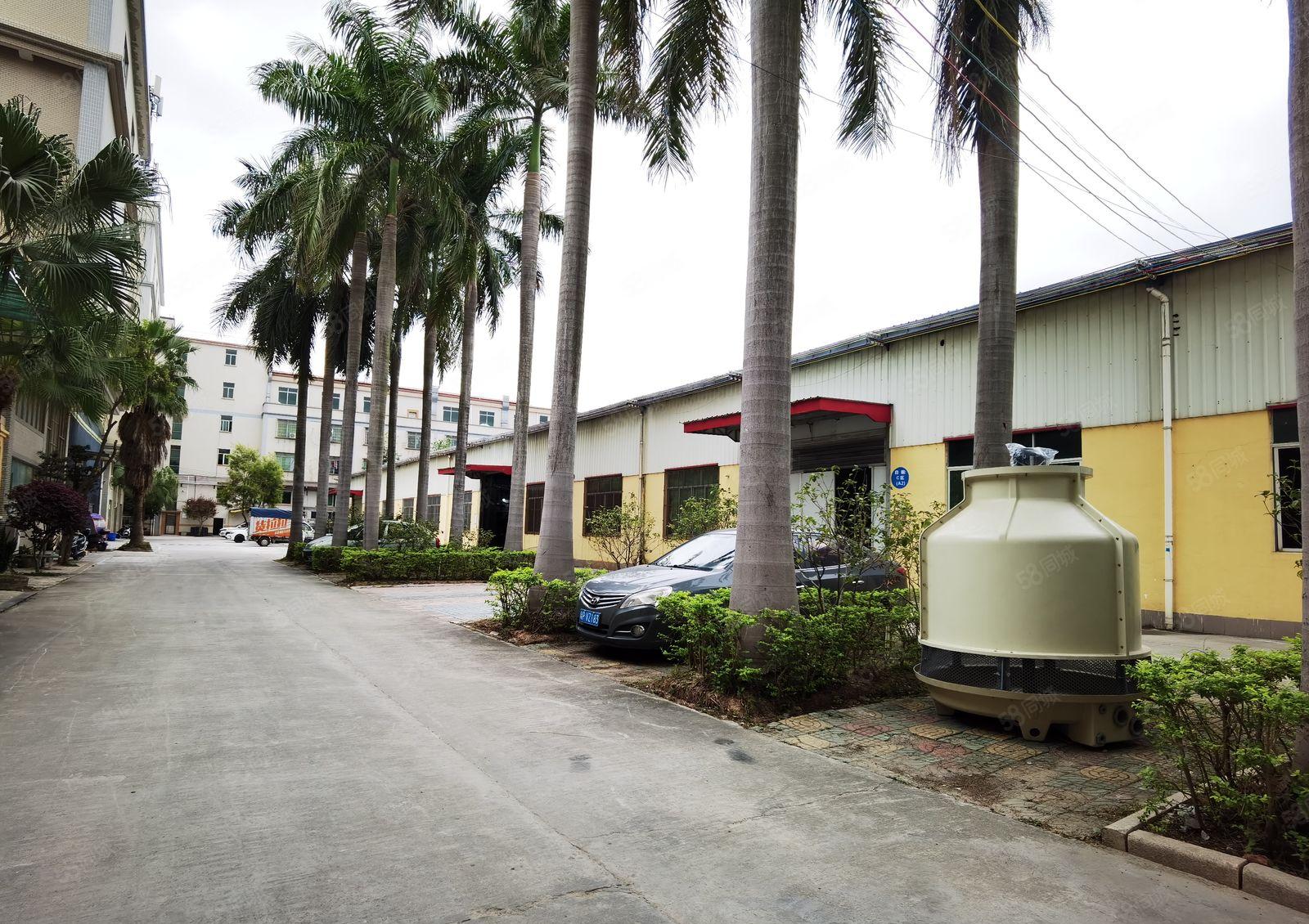 高埗独院钢构厂房出租3600平方可分租带装修水电齐全交通方便