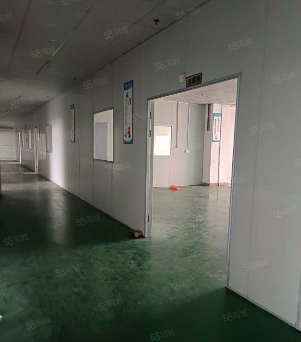 高埗镇新出原房东钢构独院厂房12000平