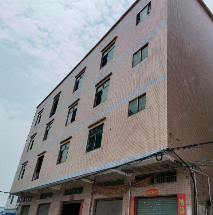 8元厂房招租！高埗新出环城路外标准厂房出租850平，四楼