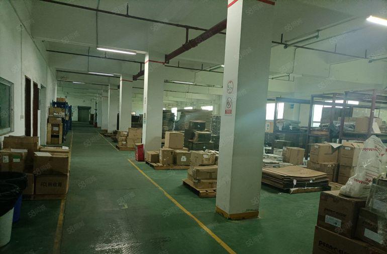 高埗镇独门独院厂房出租13层8000平方，宿舍2000平方