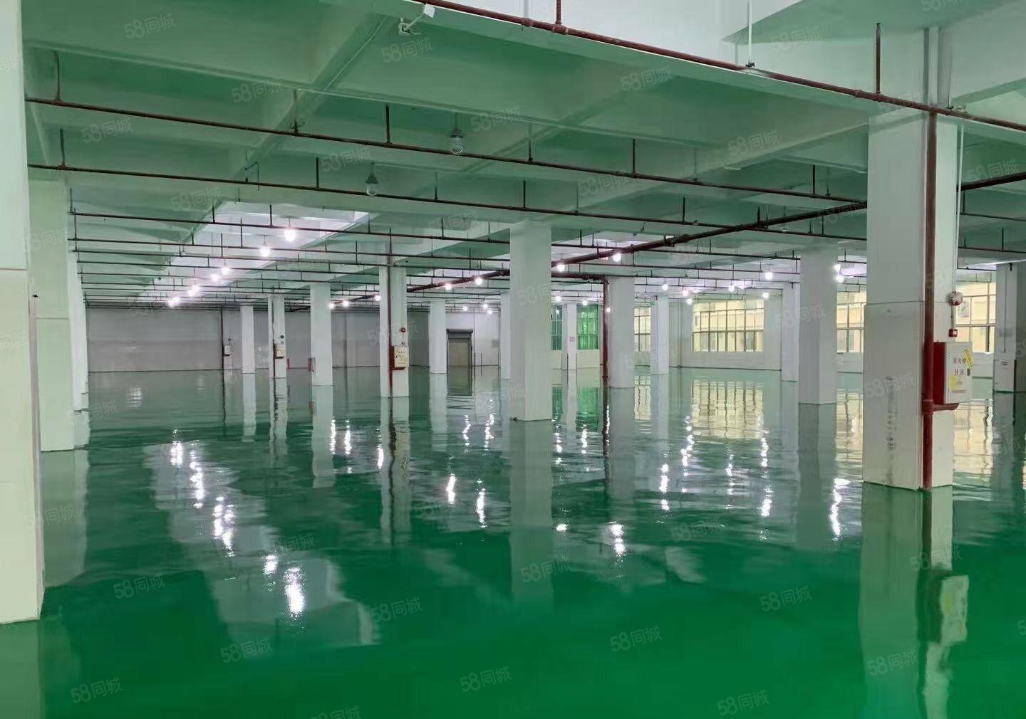 租金仅13平高埗镇冼沙独院标准厂房4300平空地大可分租