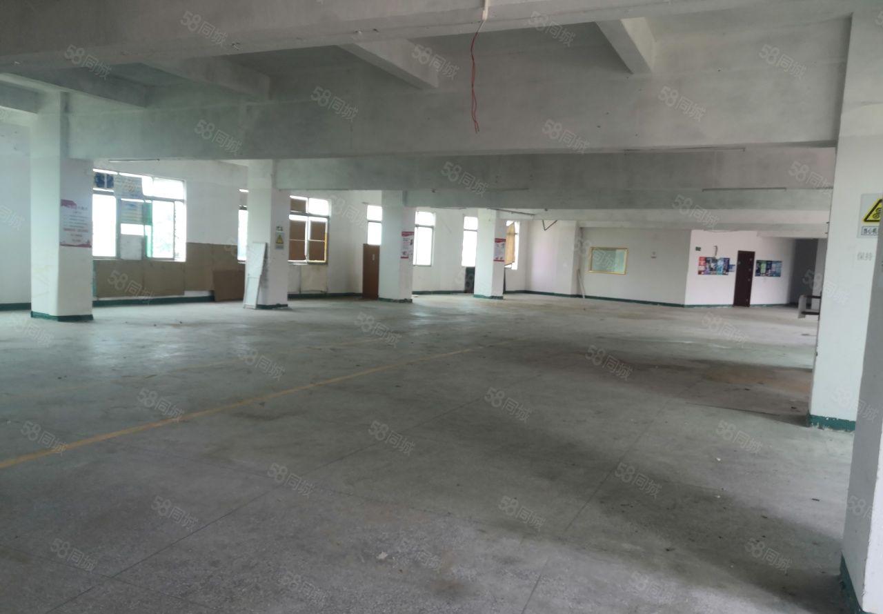 高埗新出十元一平方厂房大小可分租周围无居民可做无污染行业